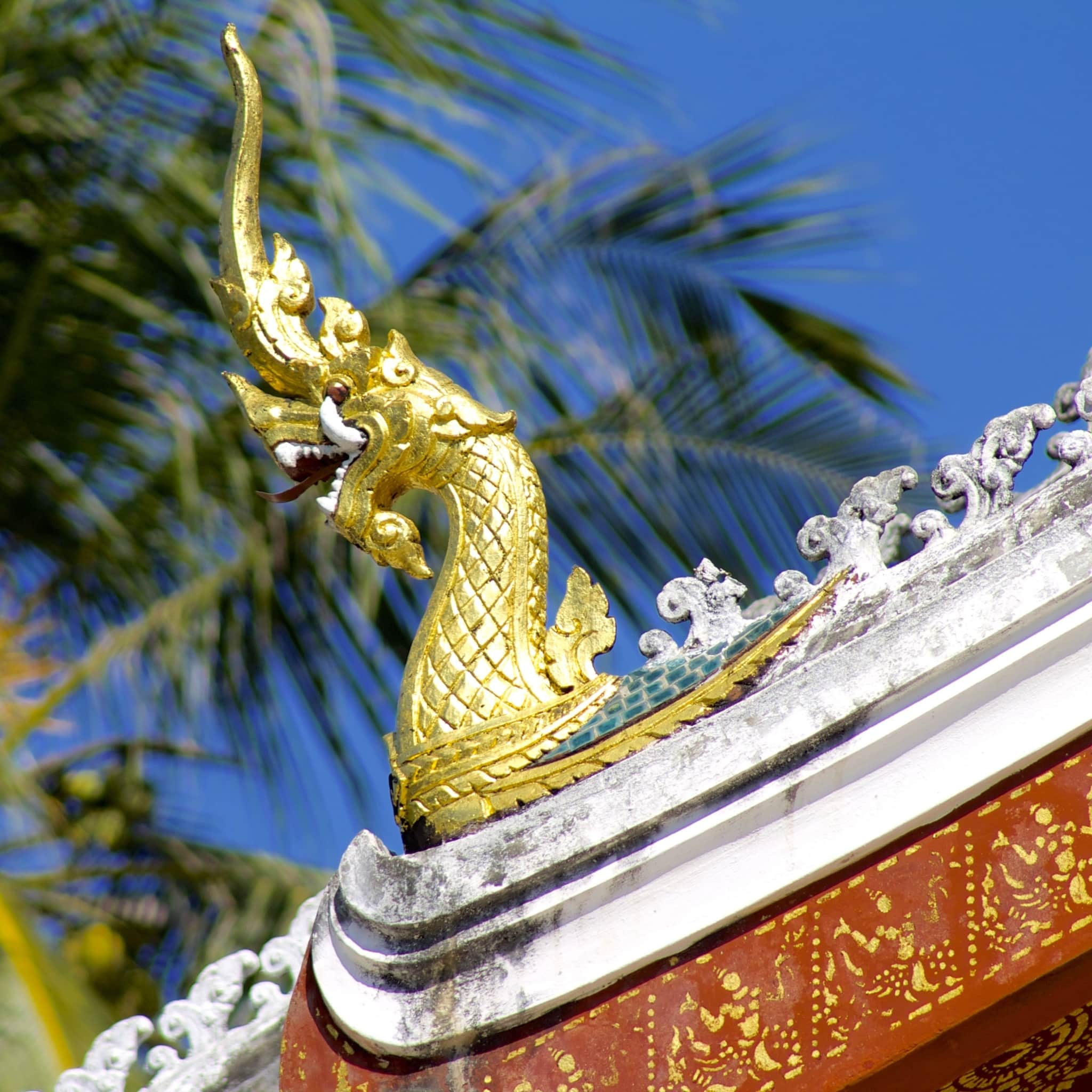 老挝寺庙照片