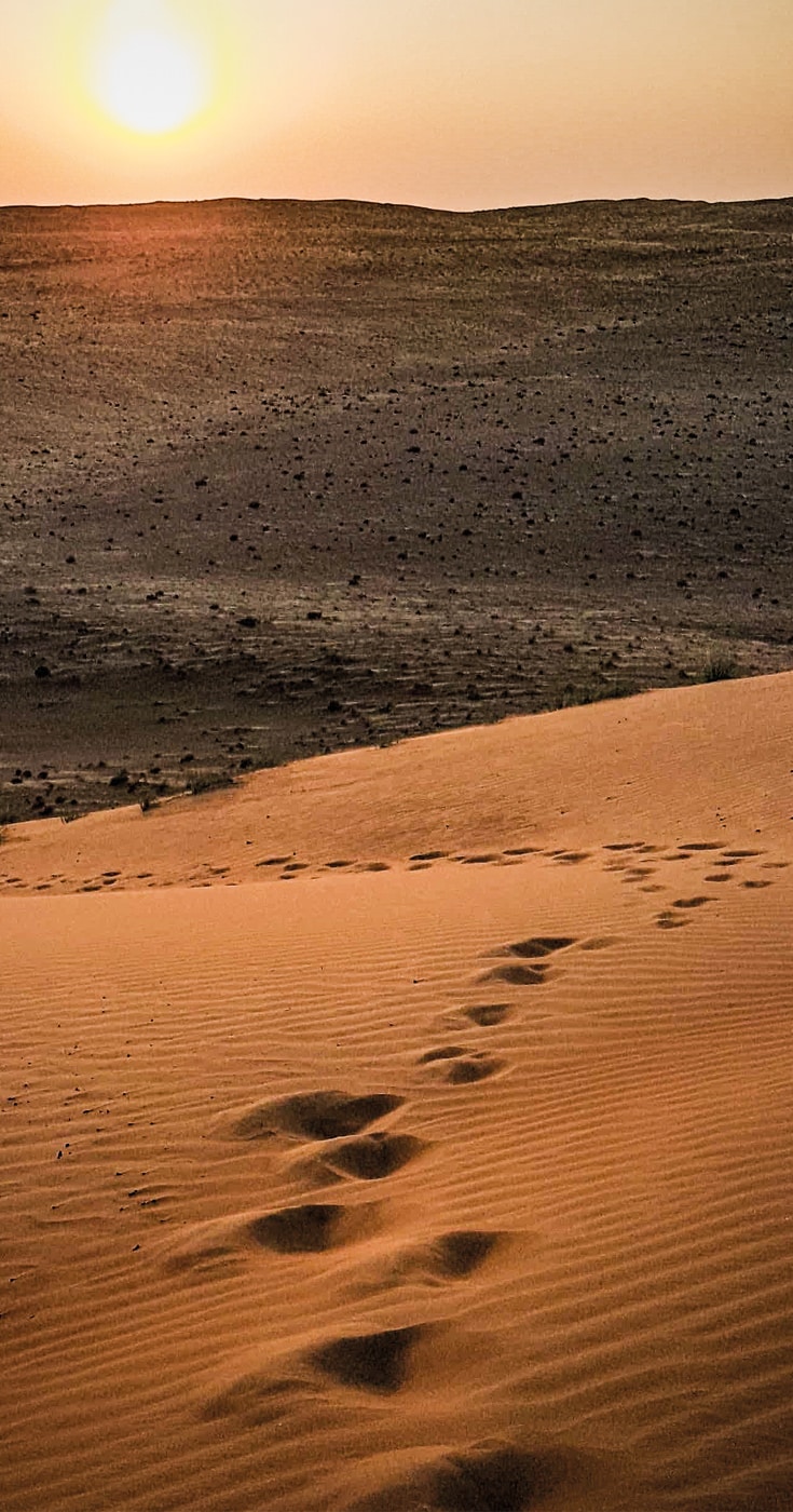 阿曼旅游视频沙漠