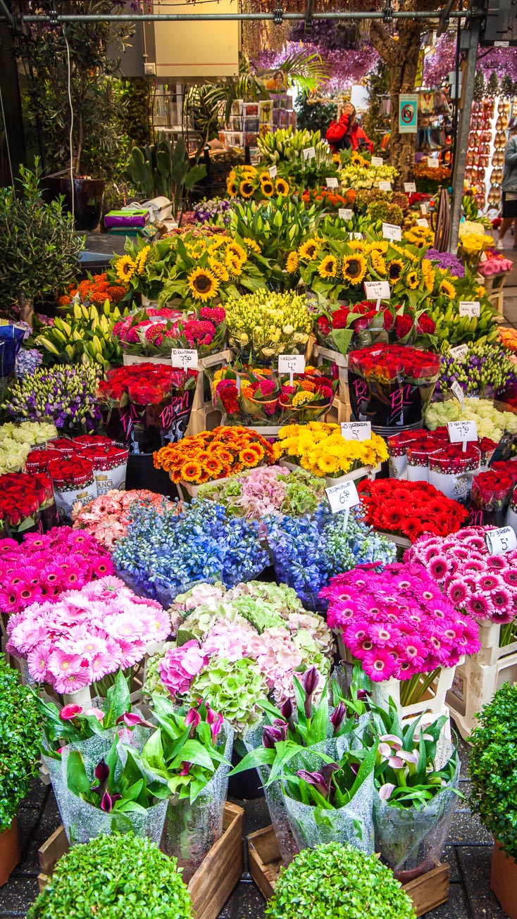 阿姆斯特丹周末花卉市场