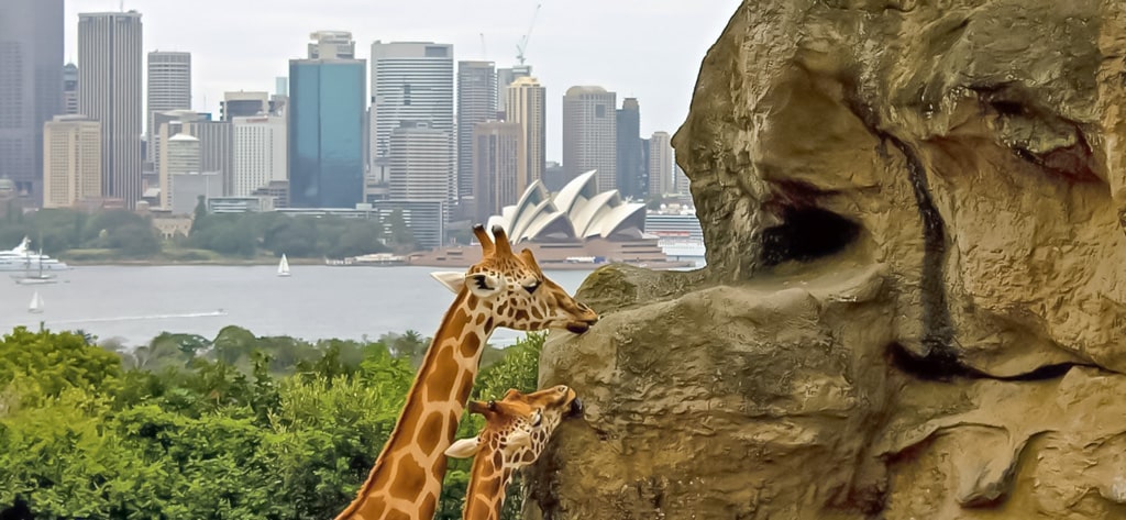 悉尼动物园