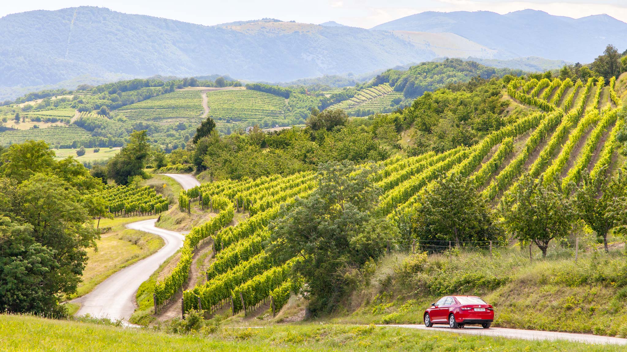 Vipava-Valley