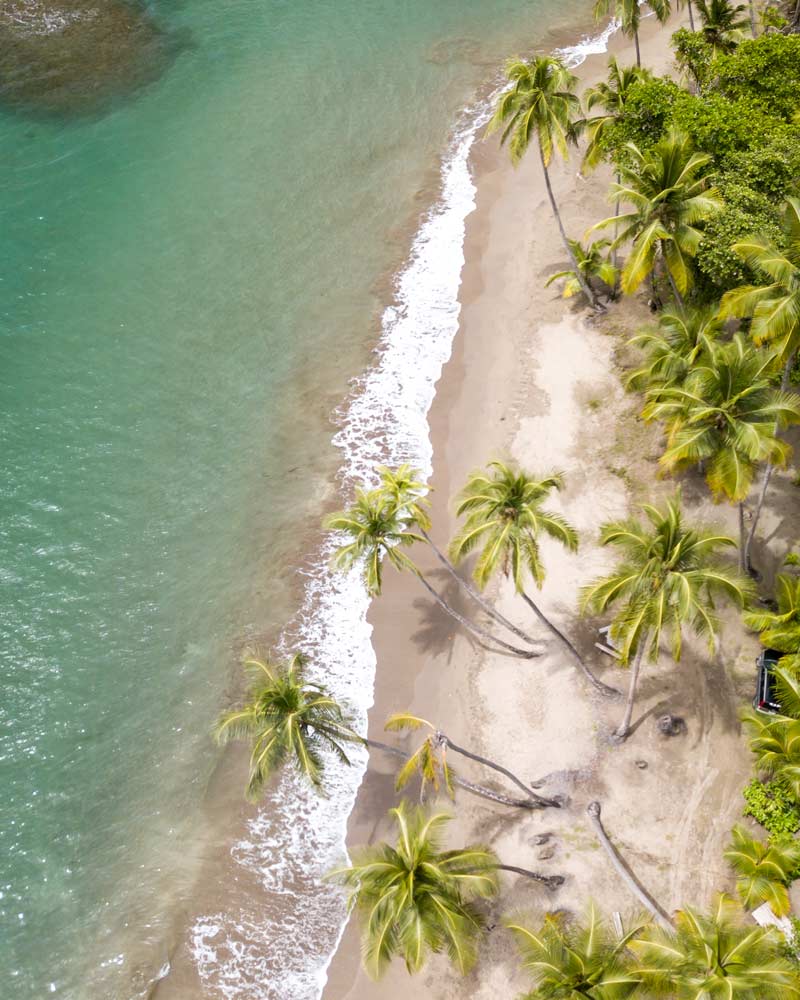 从上面看，多米尼加巴塔布海滩的棕榈树和海洋