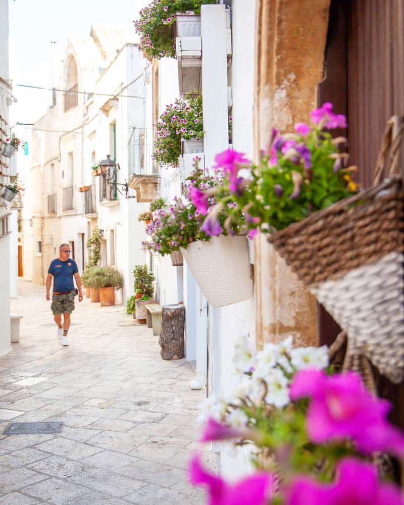 有白色街道和粉红色花朵的普利亚Locorotondo Puglia