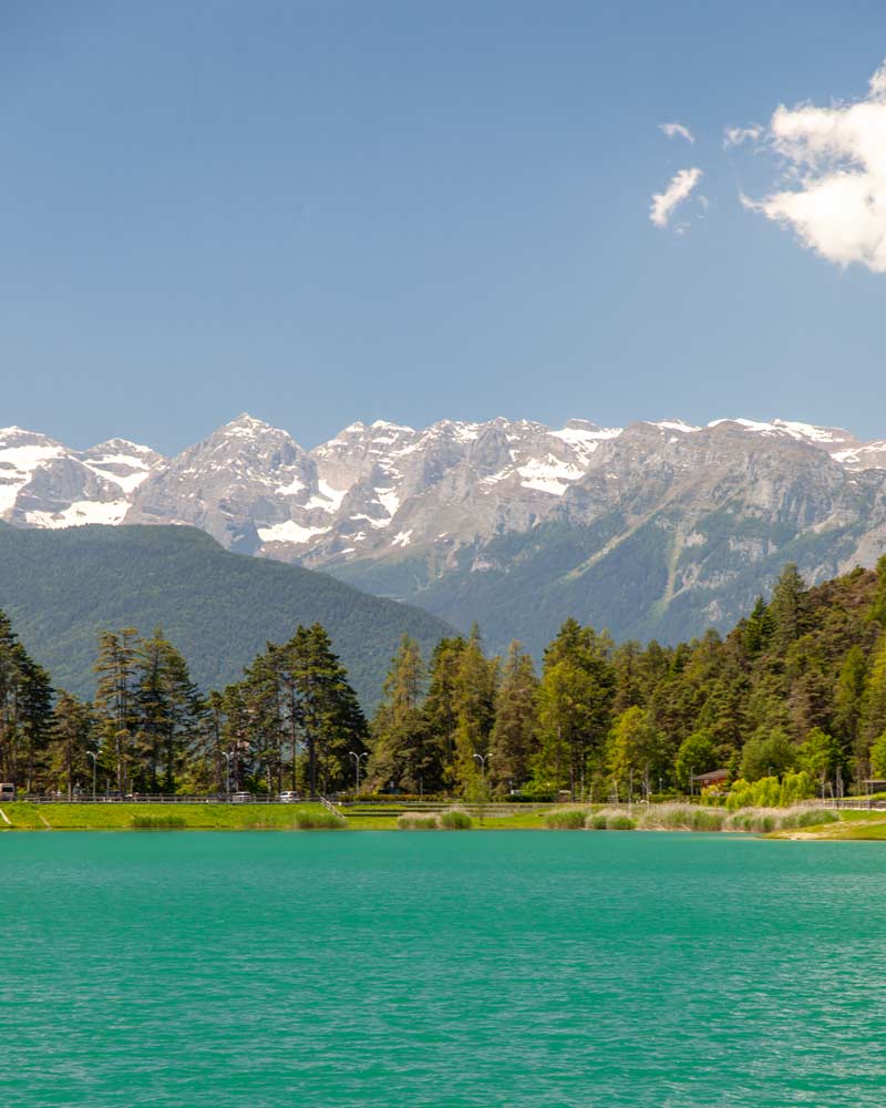 树后的山和Val Di Non的湖