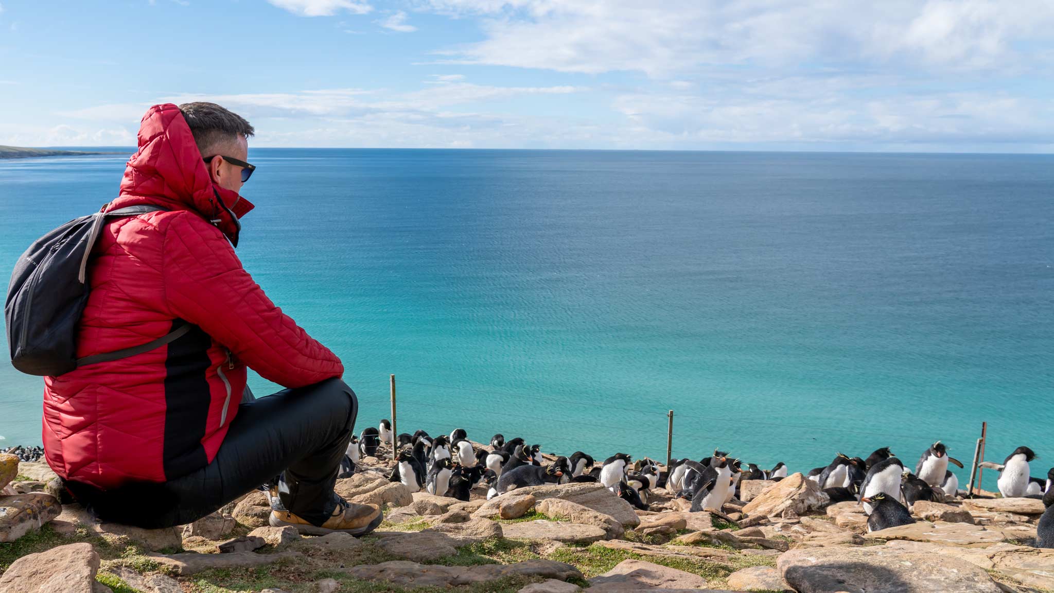 丹坐在左边，穿着一件红色的外套，在他的身后是各种色调的清澈的蓝色海水。一群跳岩企鹅点缀在右边的岩石上。