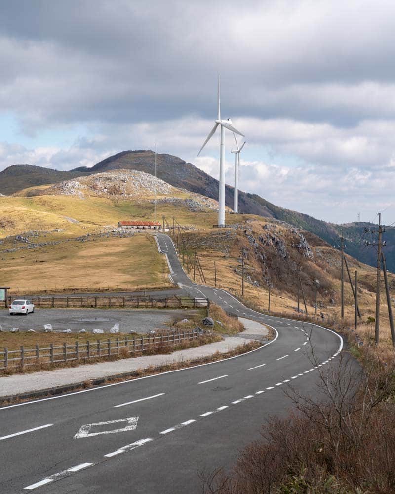 森林疗法道路蜿蜒的山