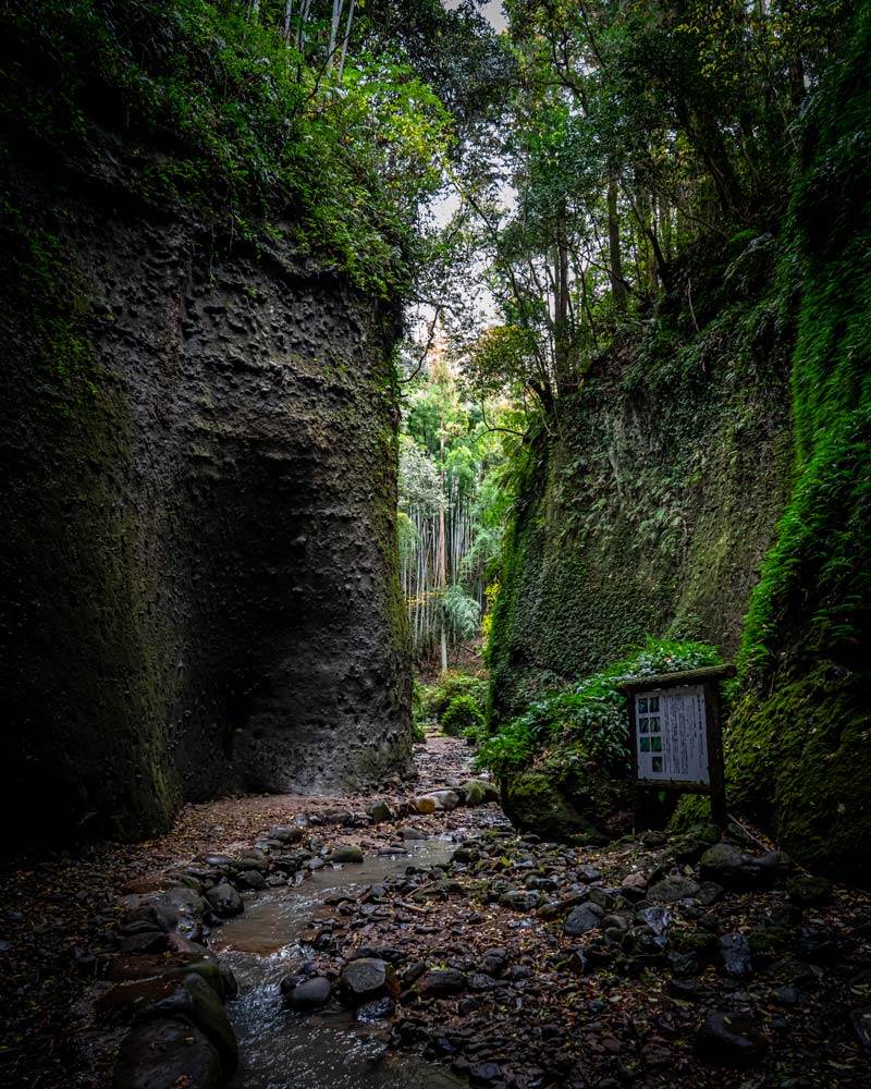 岩石上苔藓的绿色入口到Ioki洞穴