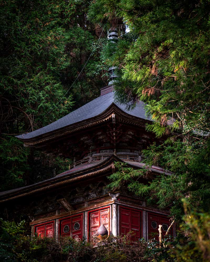 在日本佐藤，一座被大自然重新占领的红色寺庙