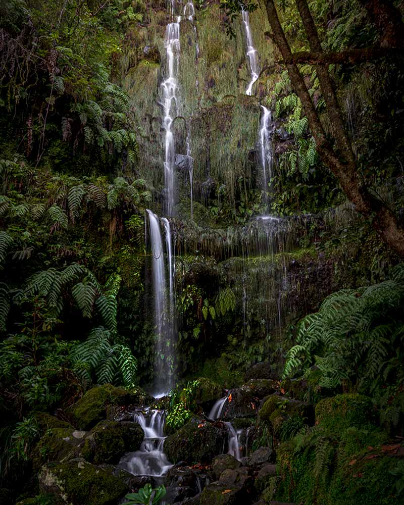 长时间曝光的许多Maderia瀑布涂悬崖上倾泻下来的蕨类植物