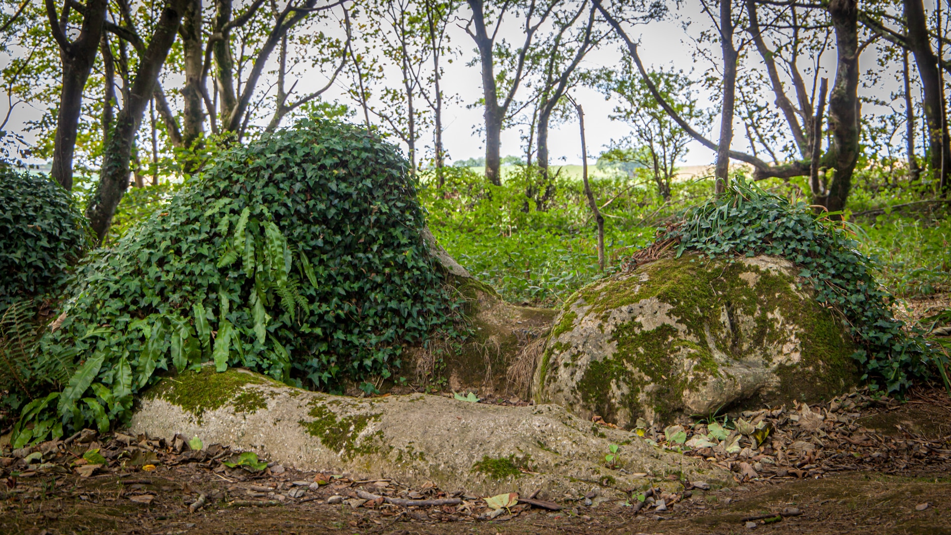 Helligan的失落花园是康沃尔最好的参观地点之一
