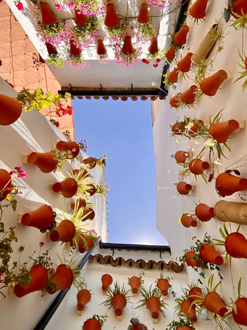 科尔多瓦天井节上五颜六色的花盆是西班牙隐藏的宝石