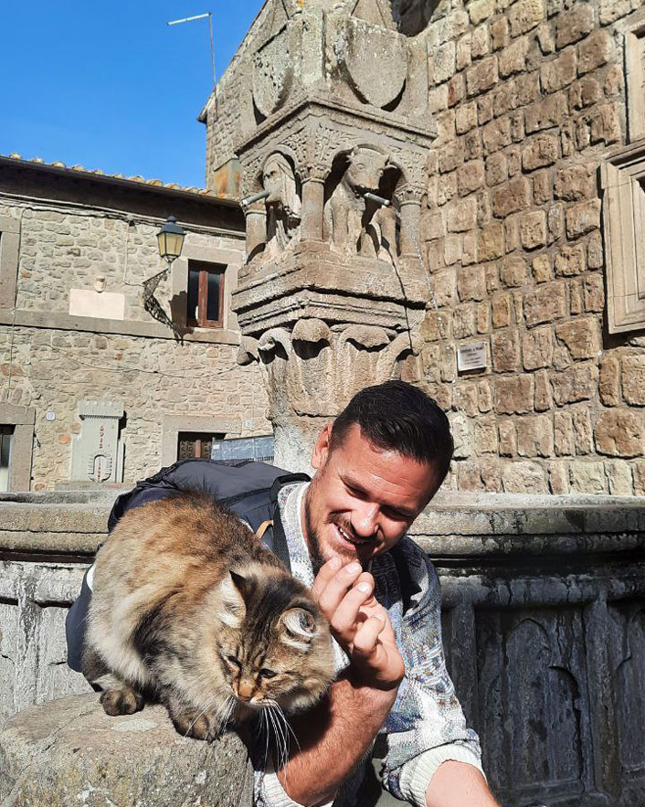 会议Vitorchiano当地的一个猫,意大利的一个小村庄