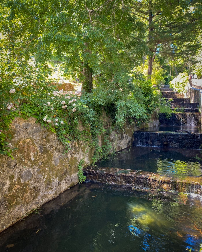 Caldas de Monchique温泉