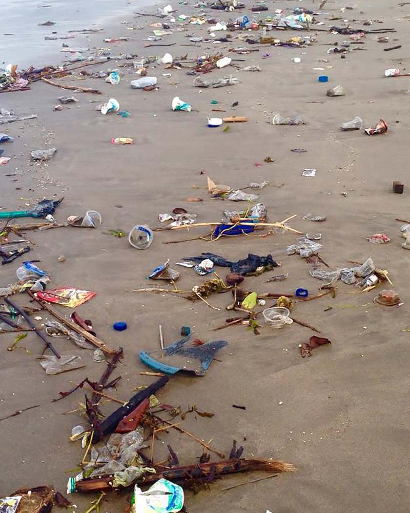 巴厘岛海滩垃圾