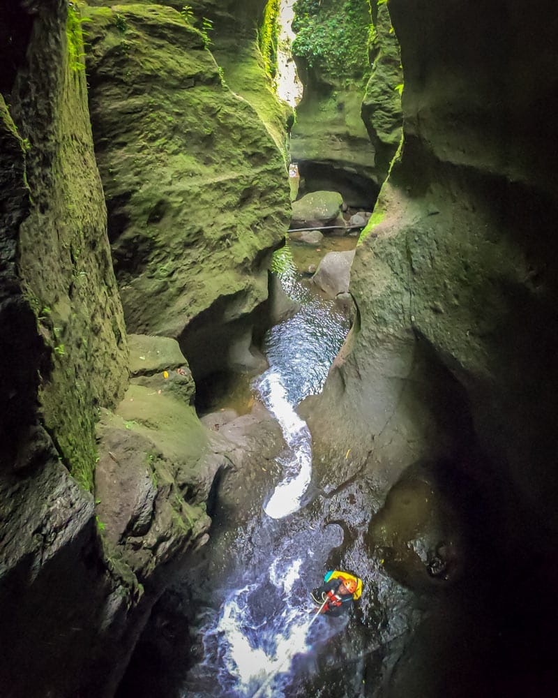 一个绿色峡谷底部与水和一个男人在多米尼加绳降