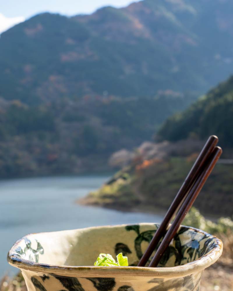 在前台是一碗抹茶绿色的面条,模糊背景和高知县的森林山脉