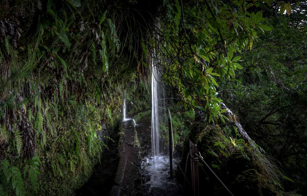 在马德拉岛的Levada do Caldeirão Verde，你必须穿过一个被绿色植物包围的瀑布必威ios下载